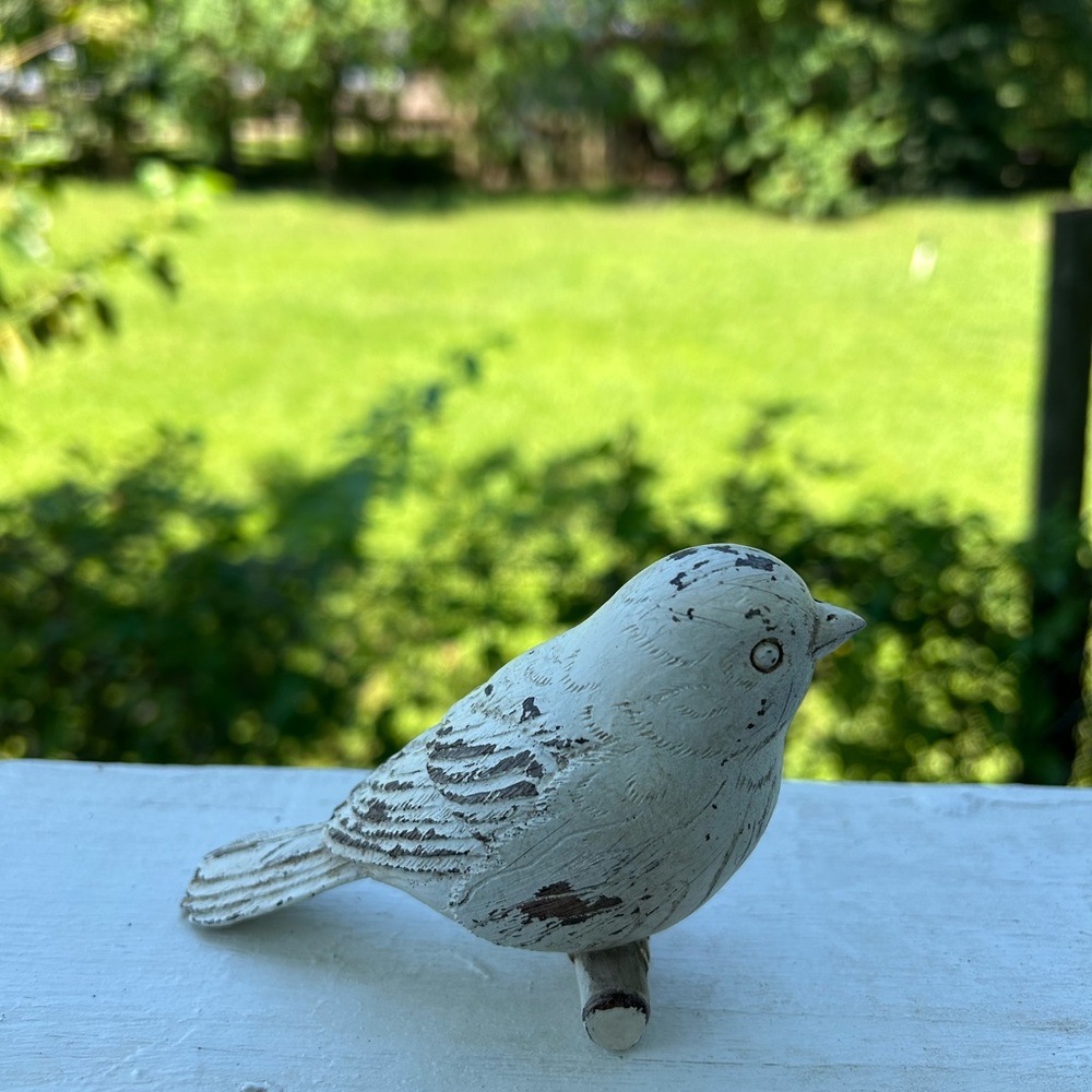 Bird - Picture 8 of 12